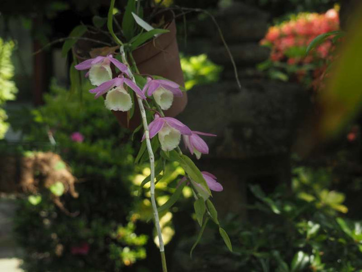 P6047307