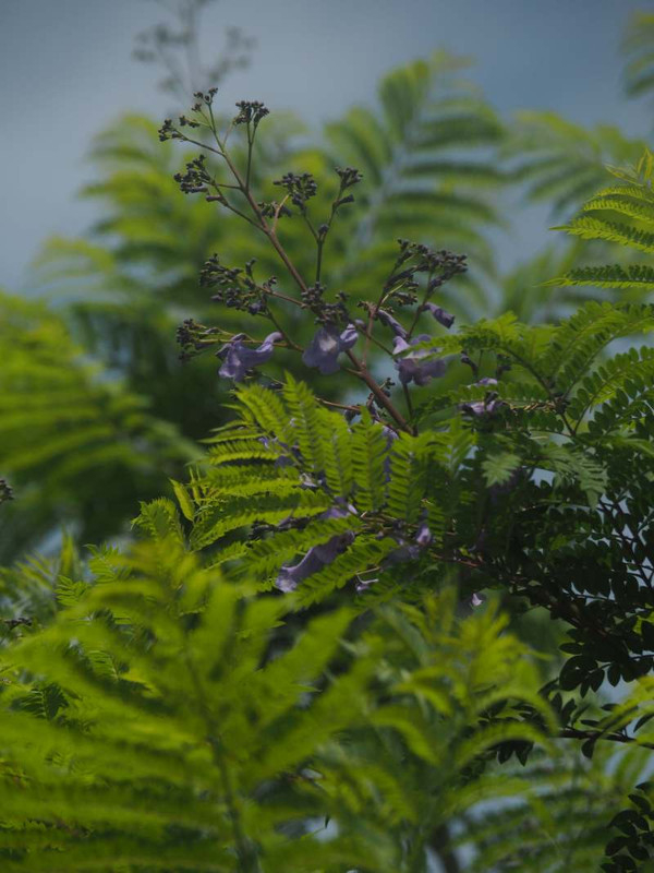 P6047312