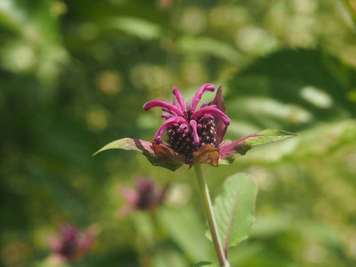 P6047317
