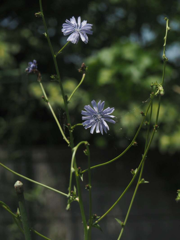 P6057335