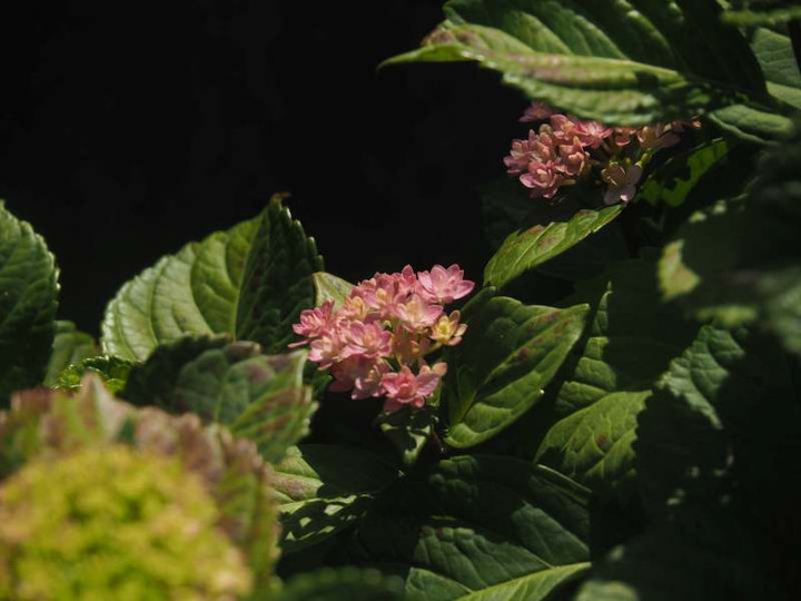P6057340