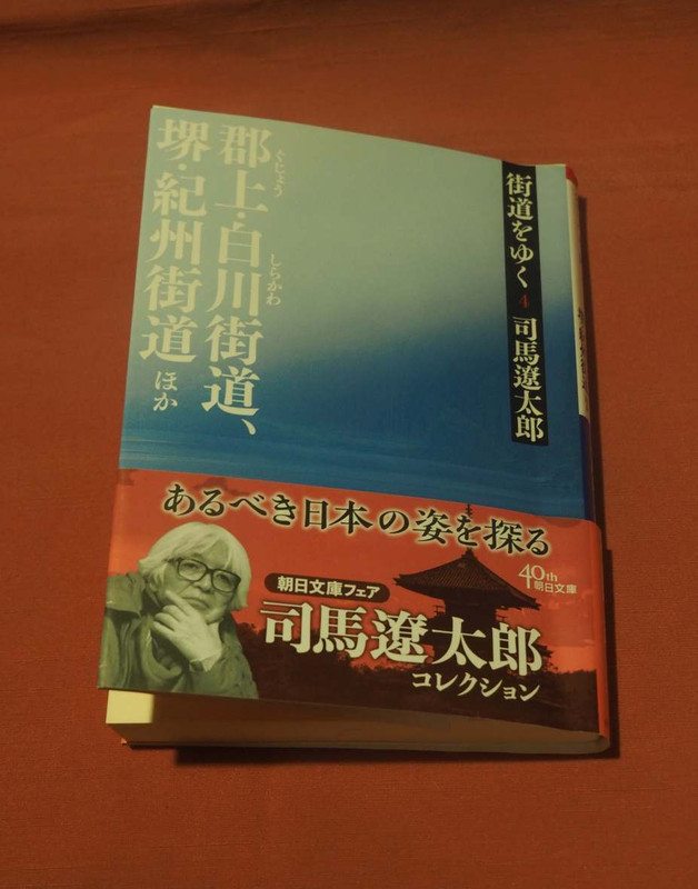P6057347