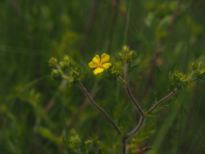 P6067358
