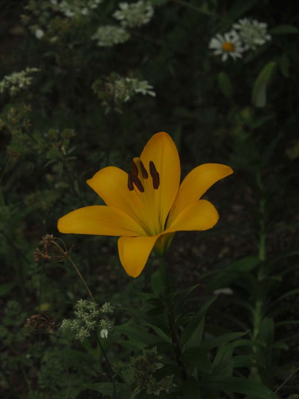 P6087384