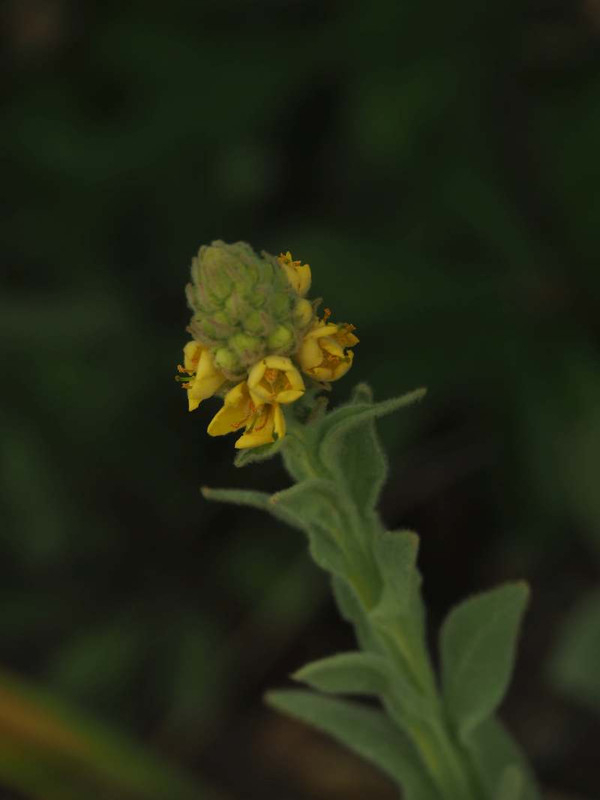 P6087386