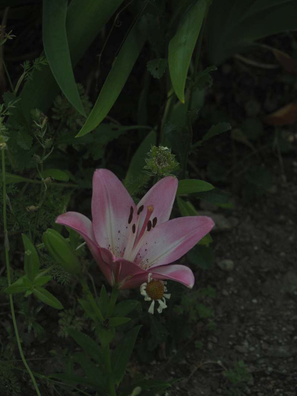 P6137563