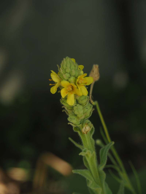 P6137564