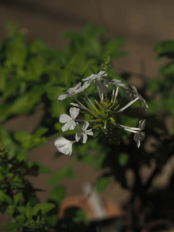 P6137570