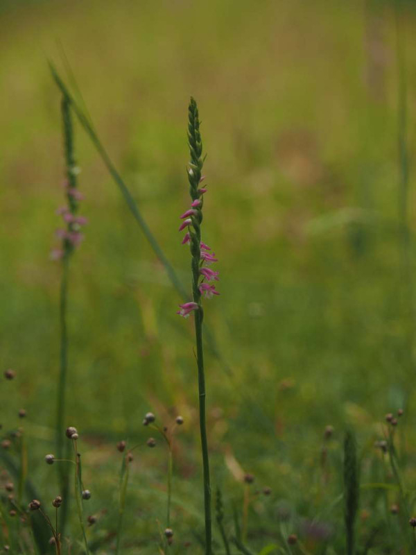 P6147573