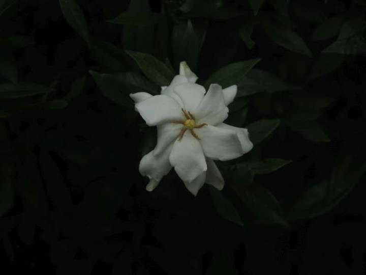 P6147575