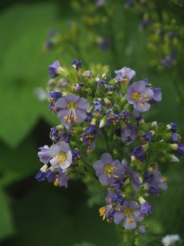 P6147576