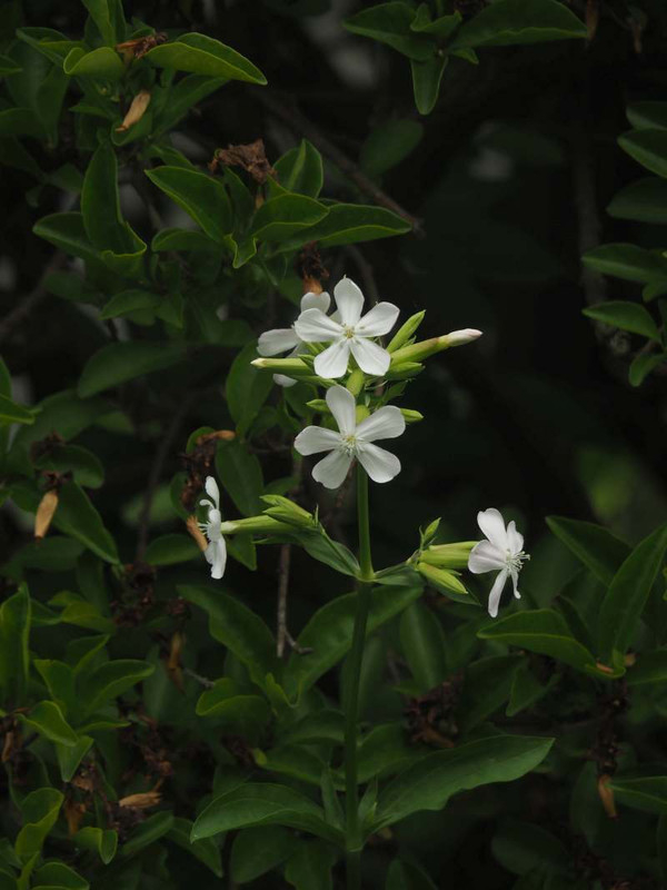 P6147584