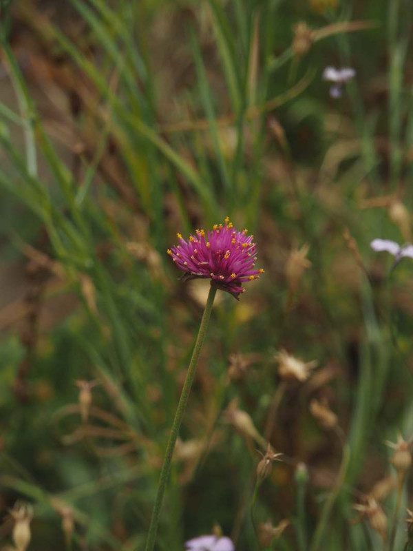 P6147587