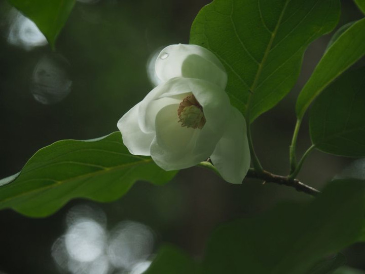 P6227744