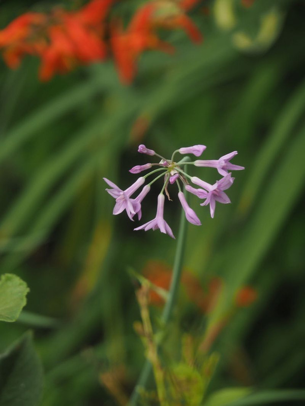 P7017909