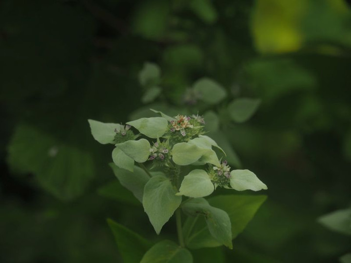 P7017912