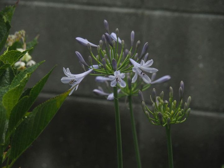 P7017913