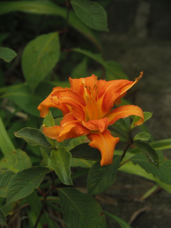 P7017914