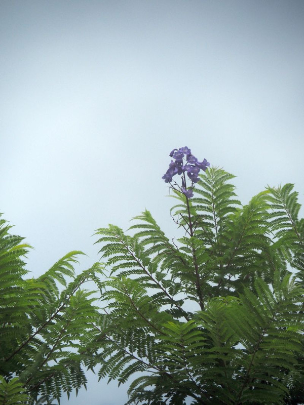 P7017915