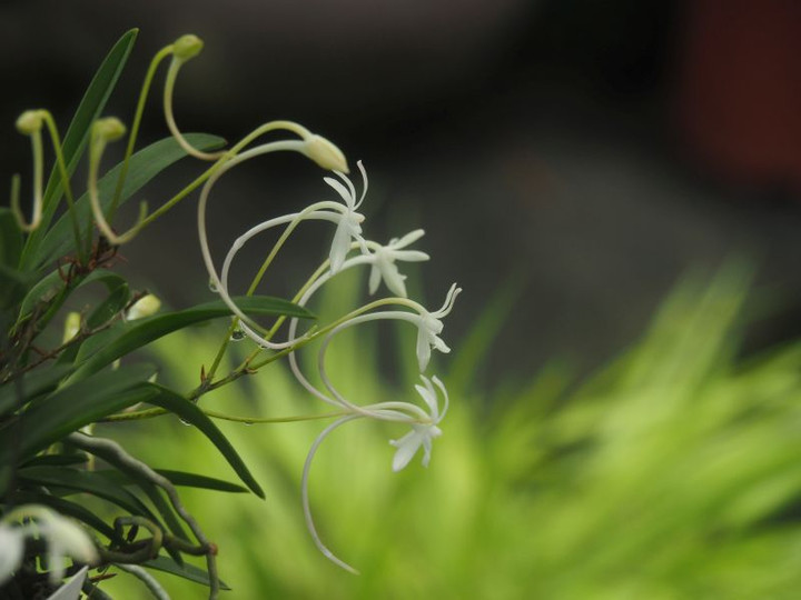 P7027927