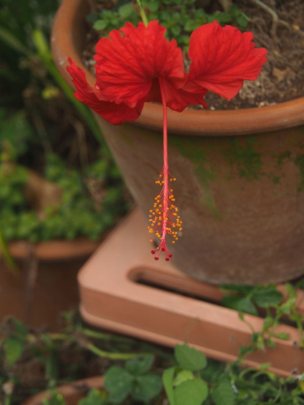 P7027930