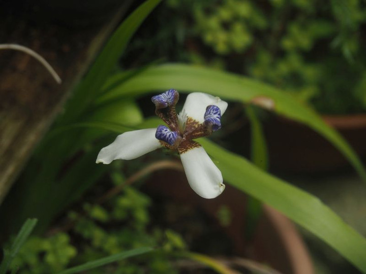 P7037933