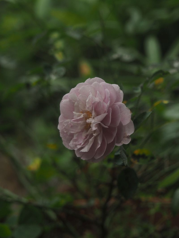 P7037936