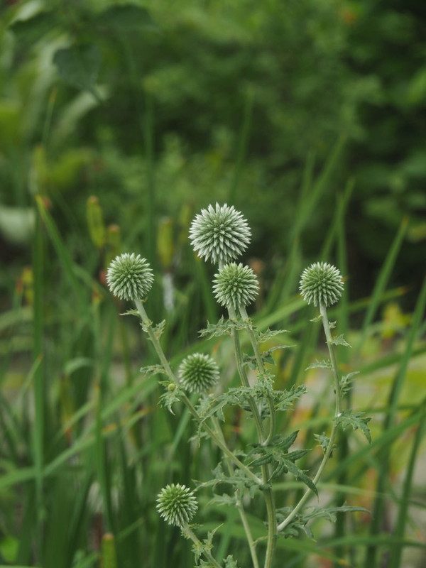 P7037940