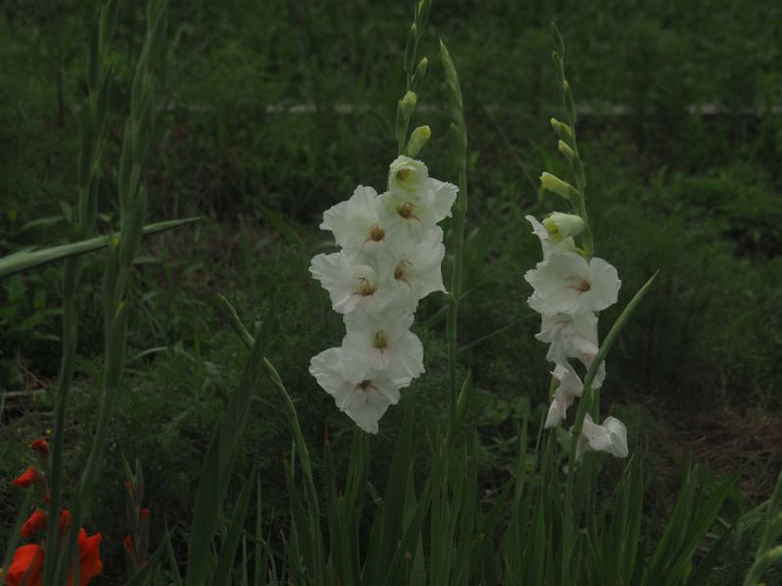 P7047957