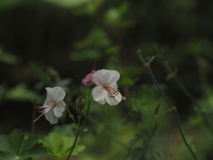 P7057961