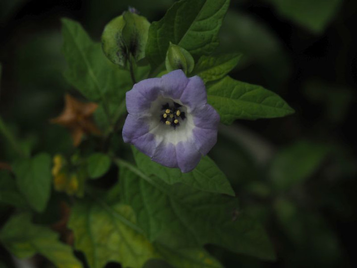 P7057962