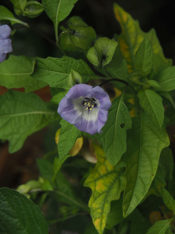 P7057963