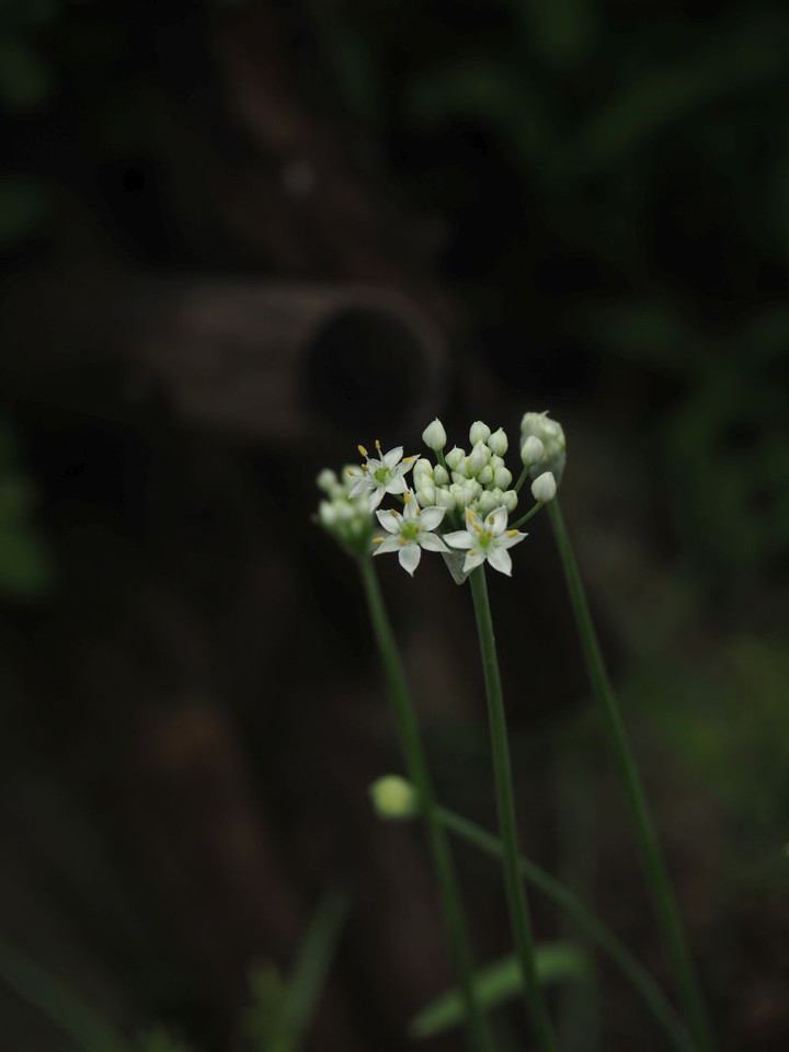 P8240015