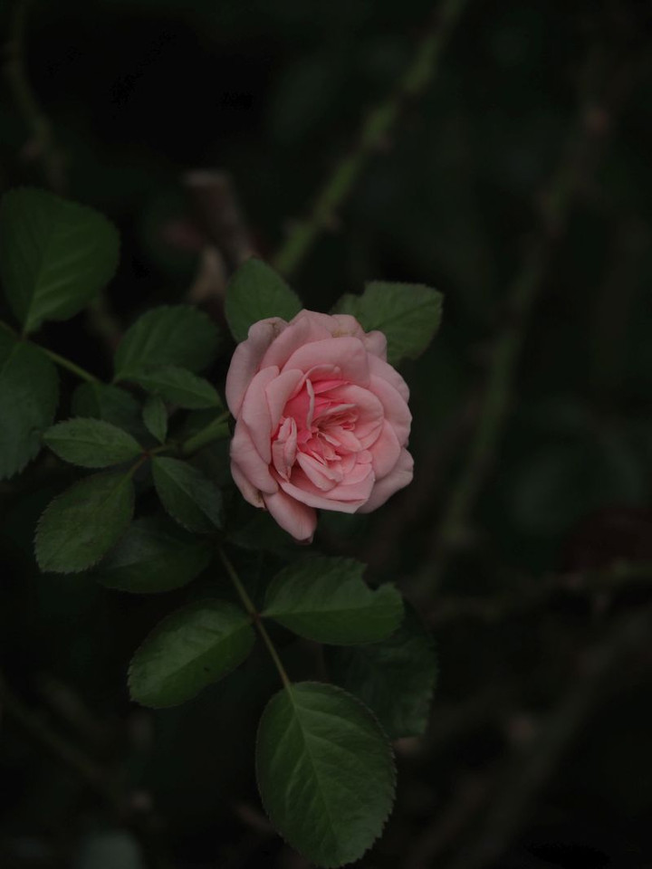 P8270072