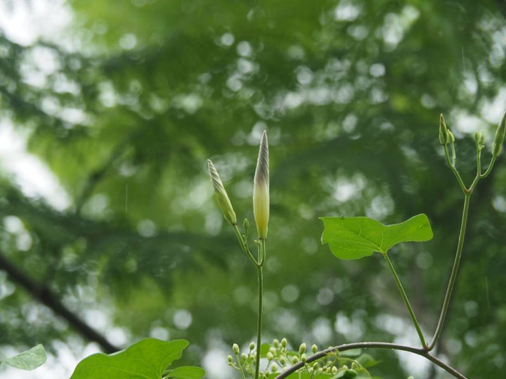P8270074