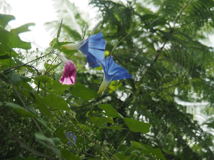 P8290091