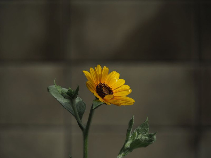 P8290096