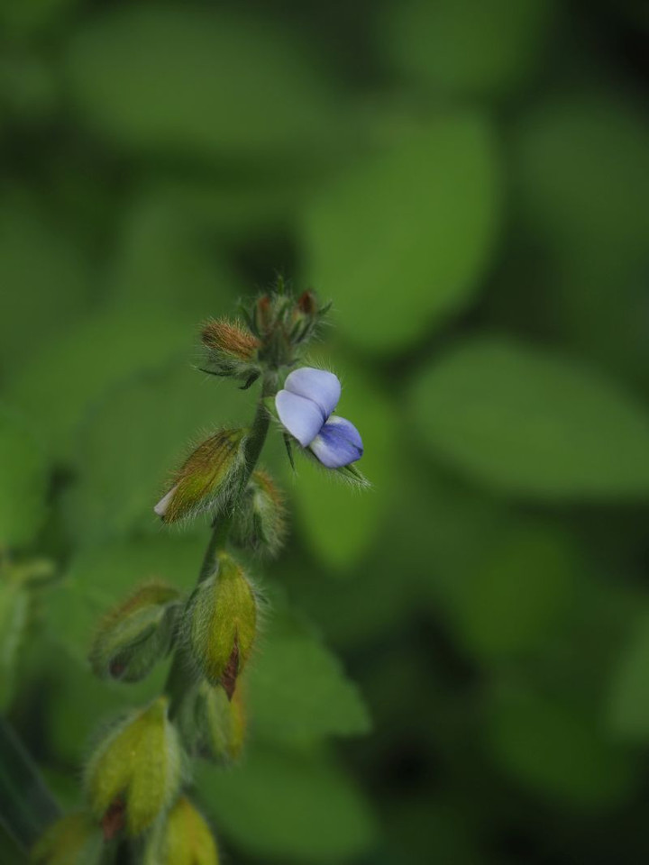 P8290099