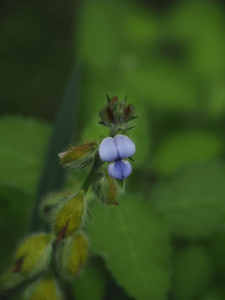 P8290100