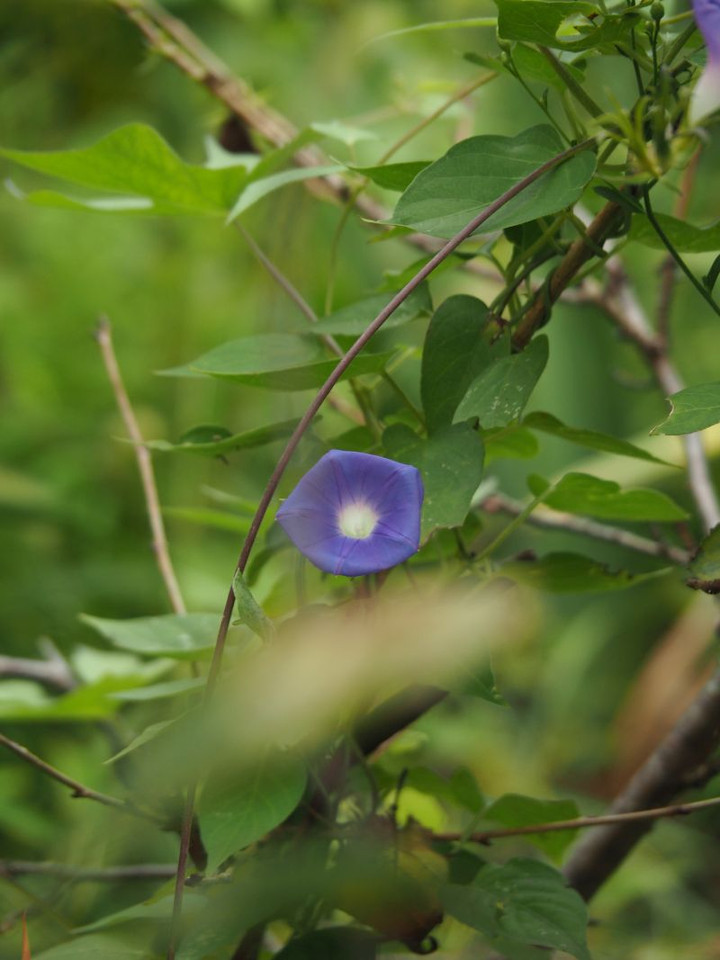 P8310111