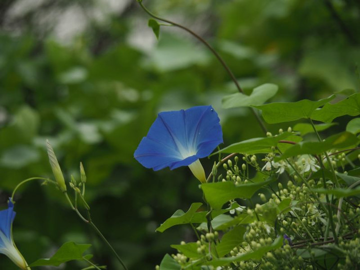 P8310114