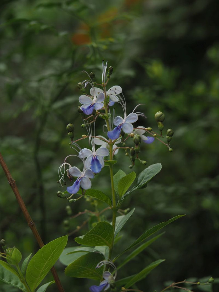 P8310118