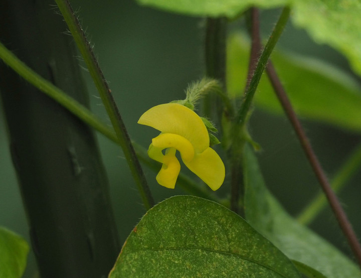 P9010122