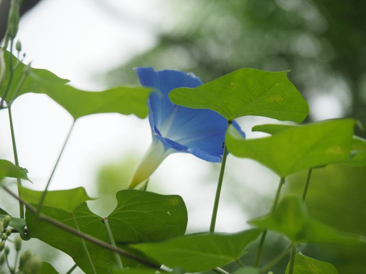 P9020145