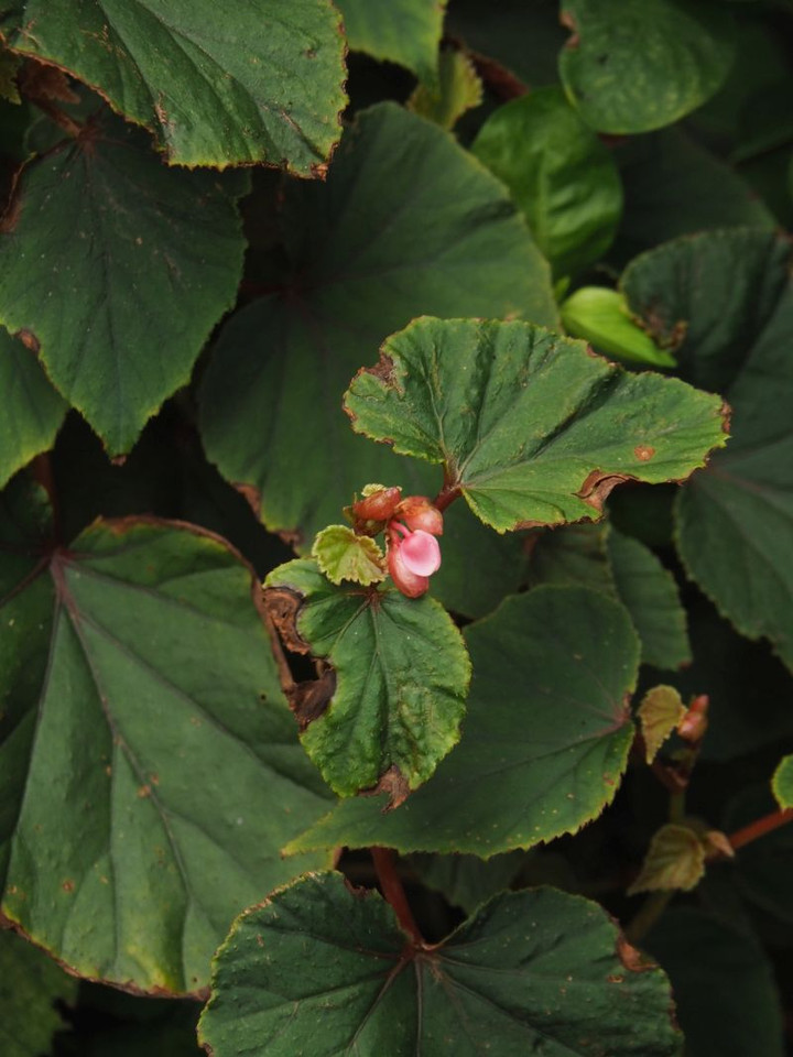 P9030154