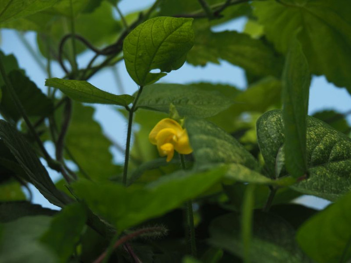 P9030156