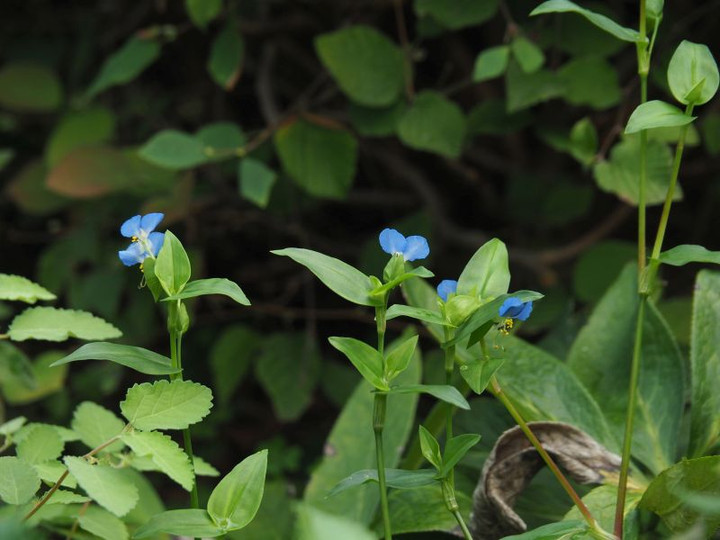 P9030157