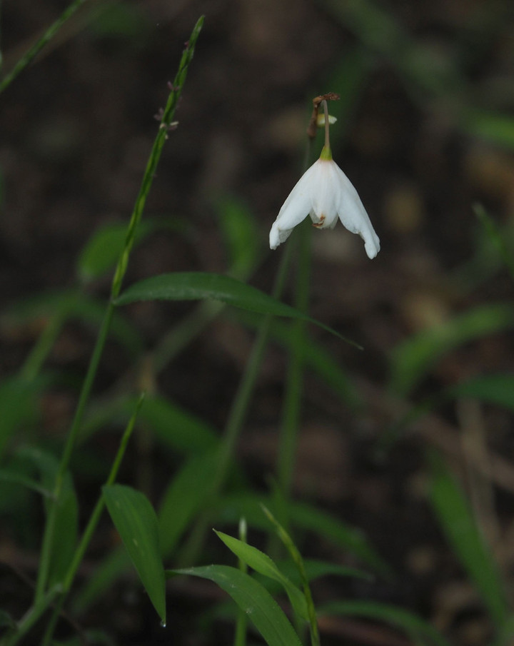 P9030160