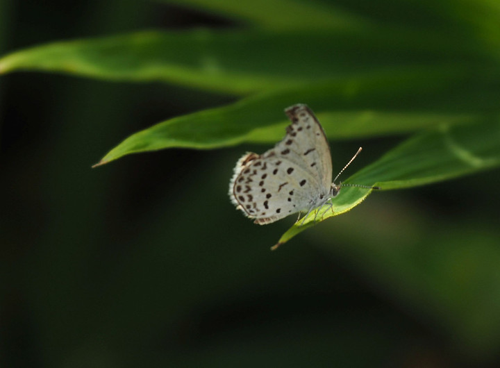 P9030166