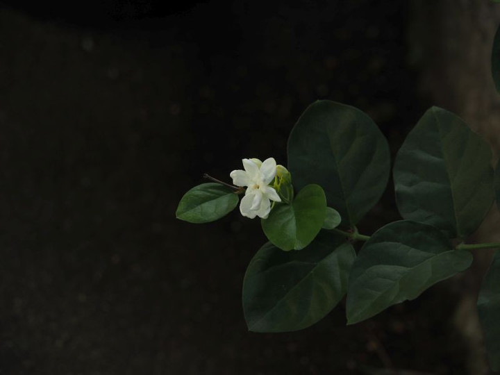 P9040167